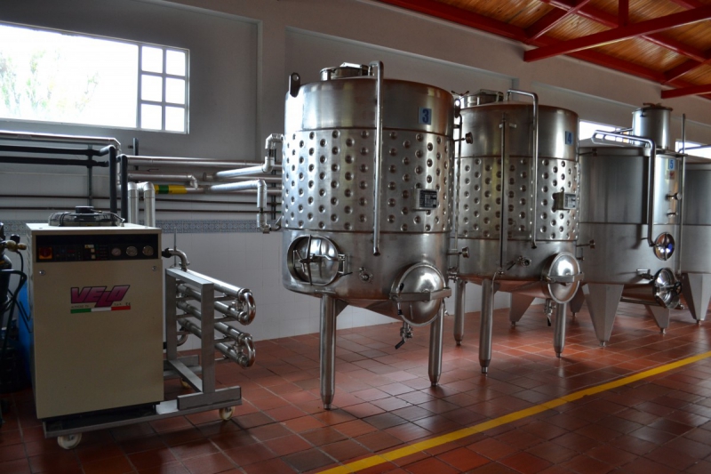 cave-VENANSON-min_wine_production_cantine_winery_drink_alcohol_vine_beverage-902036